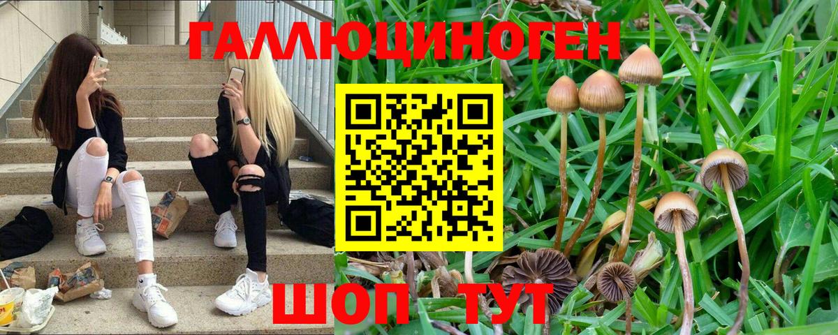 Галлюциногенные грибы мухоморы Сочи