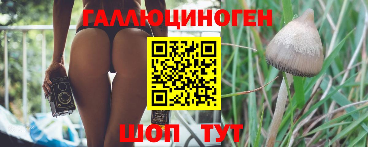 где купить наркоту  Вход с VPN  Сочи  Псилоцибиновые грибы Magic Shrooms 